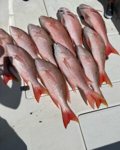 fishing report for key west